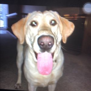 Meet your Posher, Aliya